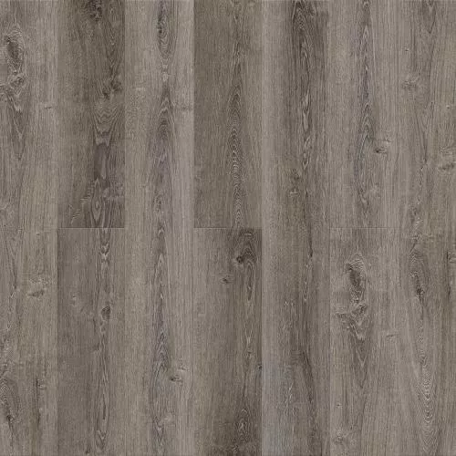 Е307 Дуб Шпиц