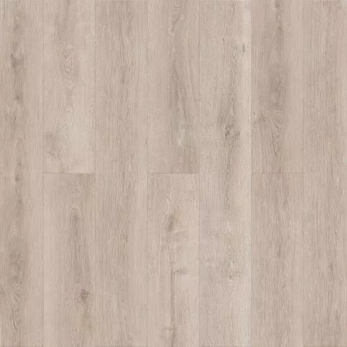 Е310 Дуб Эшфорд