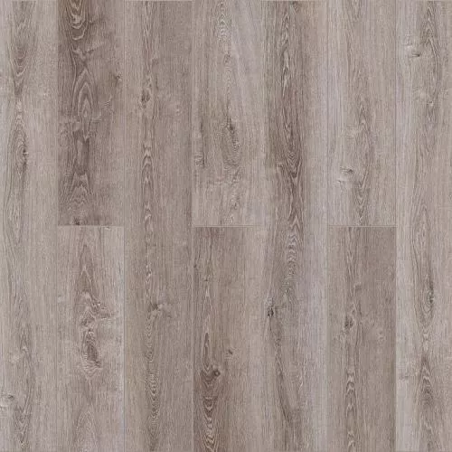 SE-707 Дуб Мадлен