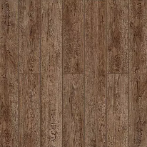 SE-709 Дуб Зайда