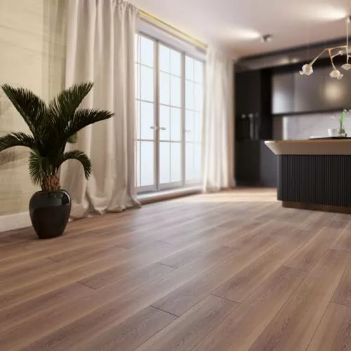 STH013 Трацберг