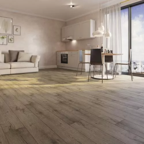 STH025 Шварцер (Schwarzer)