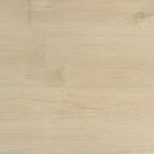 SW 1004 Кордильера