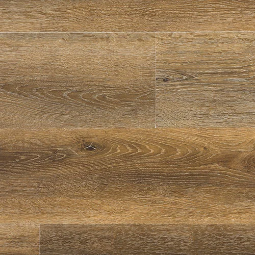 SW 1014 Кампана