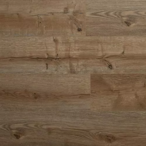 SW 1006 Крузейро