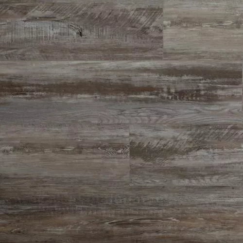 SW 1009 Атабаска