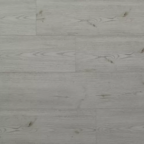 SW 1010 Калдера