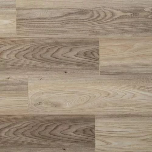 SW 1018 Бальди