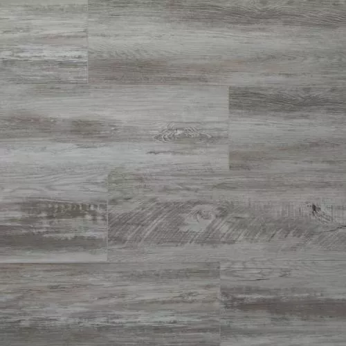 SW 1019 Альтеро