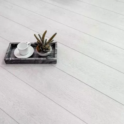 E-008-09 Дуб Шарлеруа