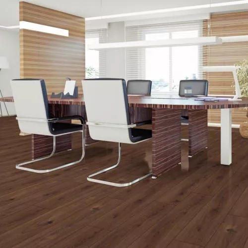 E-037-06 Дуб Карно