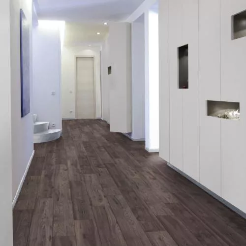 R-010-07 Дуб Валлон