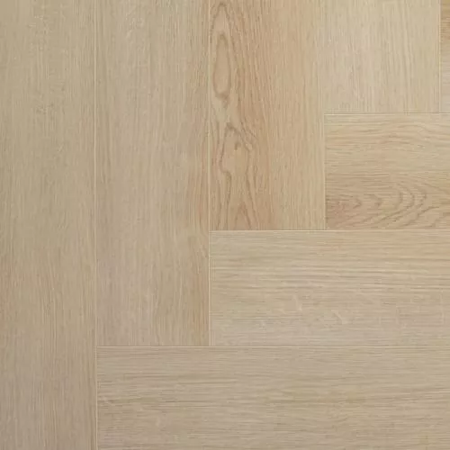 SWP 2014 Джардини