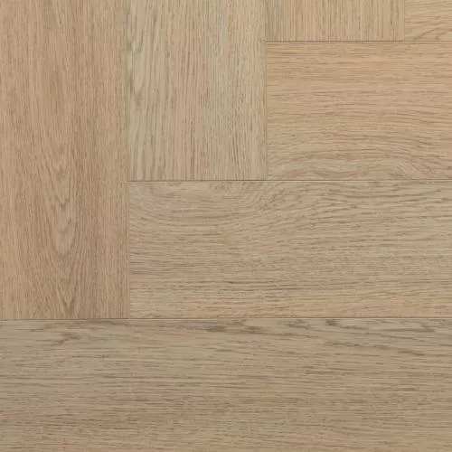 SWP 2017 Россетта