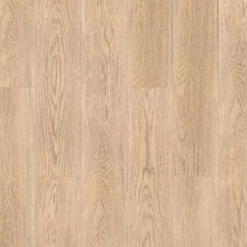  Квентин (Quentin)