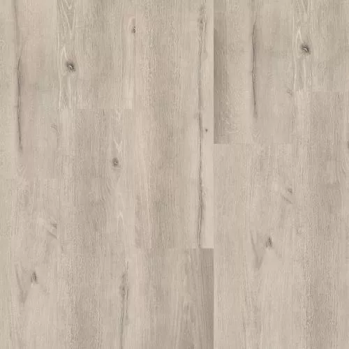  Мигель (Migel)