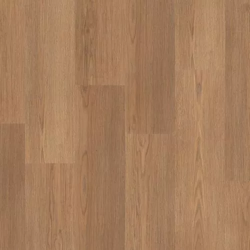  Латте Оук (Latte Oak)