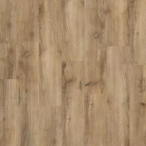  Портер (Porter)