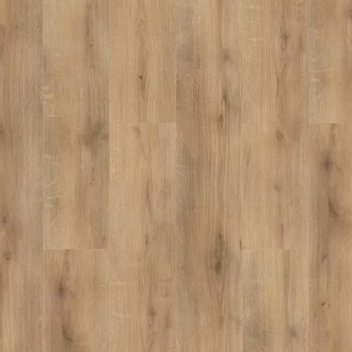  Николь (Nicole)