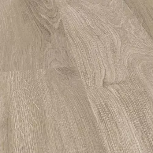 P6001 Tuscon Oak