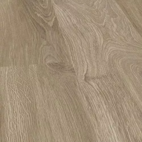 P6002 York Oak