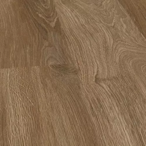 P6003 Calm Oak