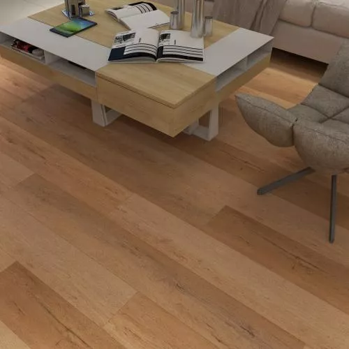 ES02-10 Дуб Лайт