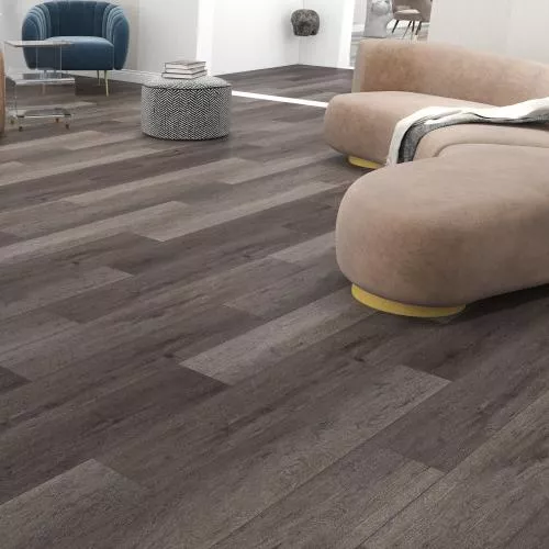 ES02-15 Дуб Сантана