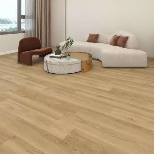 ES02-20 Дуб Нова