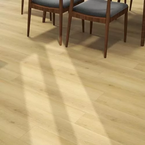 VI01-02 Дуб Прованс