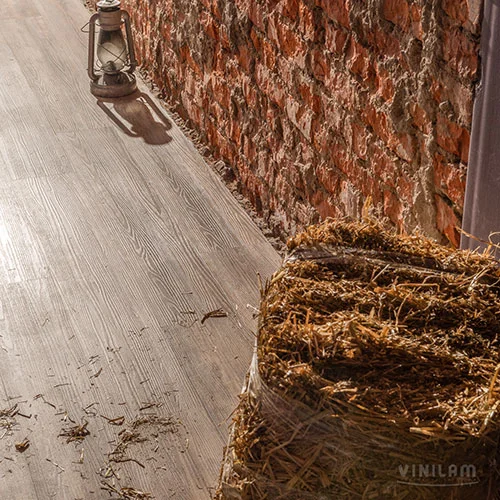 511003 Дуб Ульм